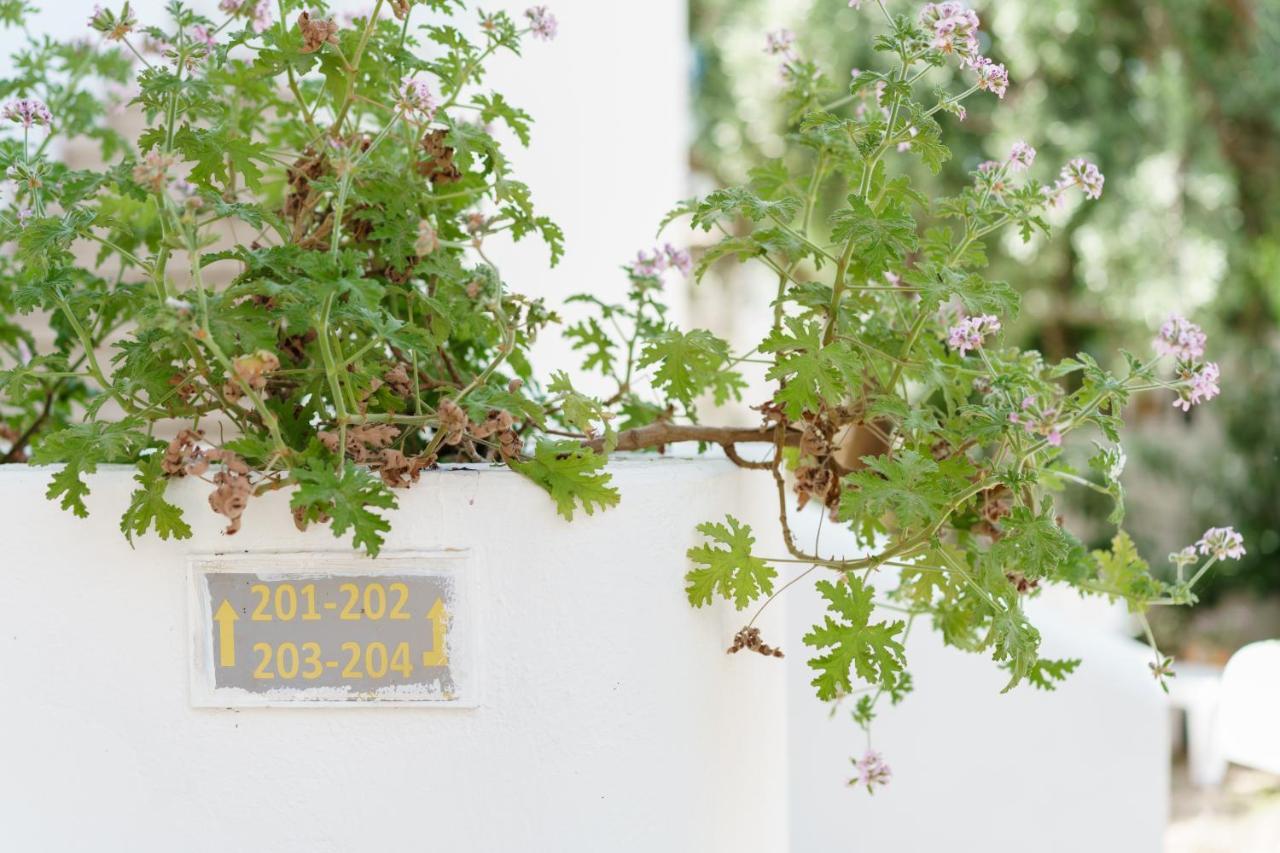 Costa Sariyaz Hotel Bodrum Buitenkant foto